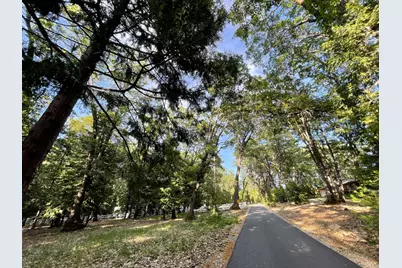 13117 Madrone Forest Drive, Nevada City, CA 95959 - Photo 5