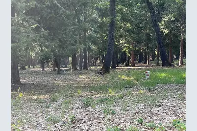 13117 Madrone Forest Drive, Nevada City, CA 95959 - Photo 1
