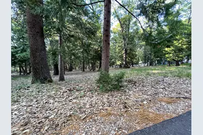 13117 Madrone Forest Drive, Nevada City, CA 95959 - Photo 3