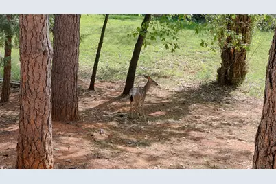 16173 Norlene Way, Grass Valley, CA 95949 - Photo 25