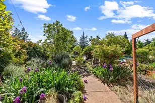 2503 Knollwood Dr, Cameron Park, CA 95682 - Photo 35