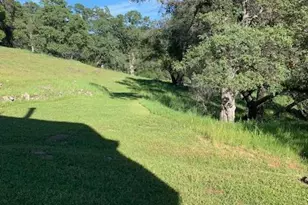 14956 Ballantree Ln, Grass Valley, CA 95949 - Photo 41