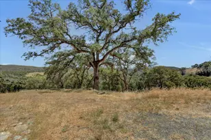 14956 Ballantree Ln, Grass Valley, CA 95949 - Photo 77
