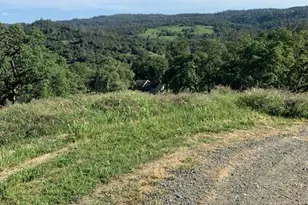 14956 Ballantree Ln, Grass Valley, CA 95949 - Photo 85