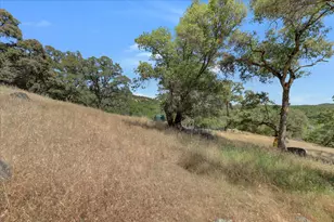 14956 Ballantree Ln, Grass Valley, CA 95949 - Photo 71