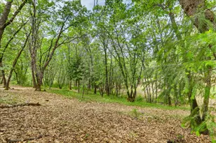 26825 Rockrose Ln, Colfax, CA 95713 - Photo 29
