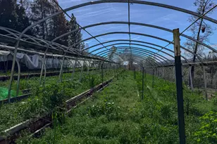 12941 Wildrose Ct, Penn Valley, CA 95946 - Photo 35