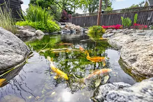 217 Earl Ave, Roseville, CA 95678 - Photo 27