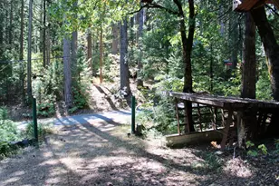 101 Wild Plum Rd, Sierra City, CA 96125 - Photo 19