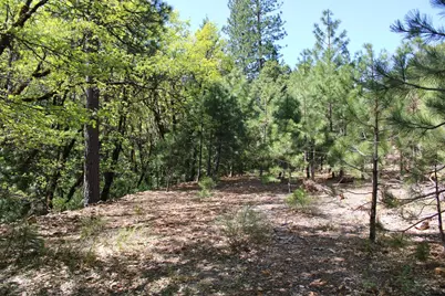 558 Brady Dr., Sierra City, CA 96125 - Photo 3