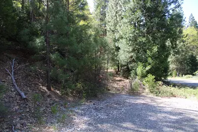 558 Brady Dr., Sierra City, CA 96125 - Photo 11