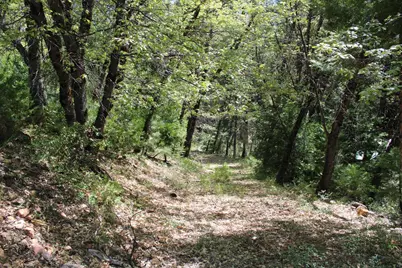 558 Brady Dr., Sierra City, CA 96125 - Photo 9