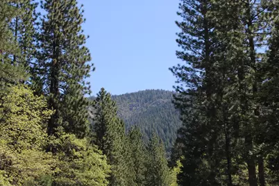 558 Brady Dr., Sierra City, CA 96125 - Photo 13