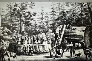 1197 McKay's Point Rd, Arnold, CA 95223 - Photo 19