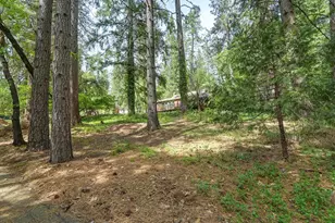 14067 Linden Rd, Grass Valley, CA 95945 - Photo 65