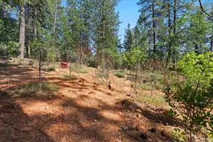 10128 Howe Ave, Grass Valley, CA 95949 - Photo 51