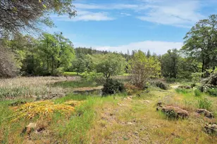 14937 Fountain House Rd, Dobbins, CA 95935 - Photo 43