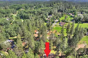 21495 Snooks Rd, Colfax, CA 95713 - Photo 61