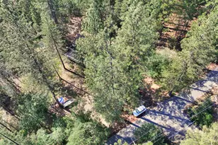 21495 Snooks Rd, Colfax, CA 95713 - Photo 63