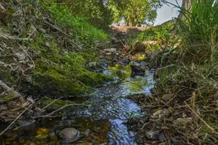 320 Gopher Flat Rd, Sutter Creek, CA 95685 - Photo 79