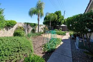 424 Codington Way, Modesto, CA 95357 - Photo 43
