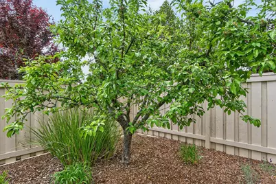 354 Daylily Lane, Lincoln, CA 95648 - Photo 57