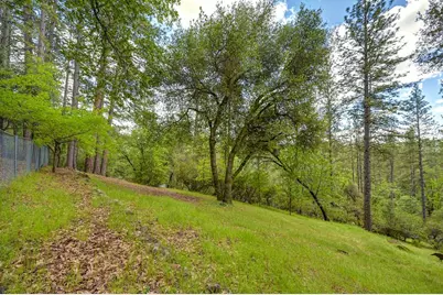 3971 Donner Trail, Placerville, CA 95667 - Photo 63