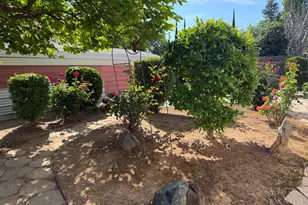 Live Oak Blvd, Yuba City, CA 95993 - Photo 11