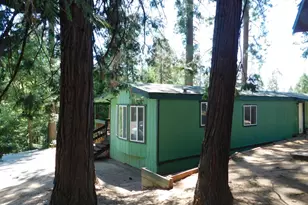 23685 State Hwy 108, Twain Harte, CA 95383 - Photo 7