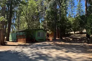 23685 State Hwy 108, Twain Harte, CA 95383 - Photo 3