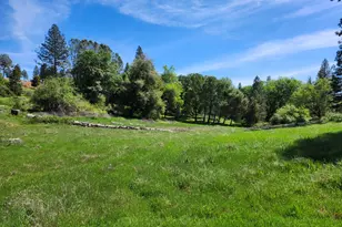 10006 Wendell Rd, Mountain Ranch, CA 95246 - Photo 7