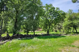 10006 Wendell Rd, Mountain Ranch, CA 95246 - Photo 5