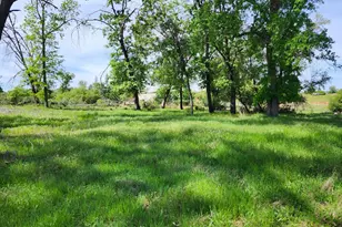 10006 Wendell Rd, Mountain Ranch, CA 95246 - Photo 9