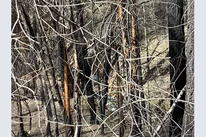 4720 Blaze Trail, Somerset, CA 95684 - Photo 13