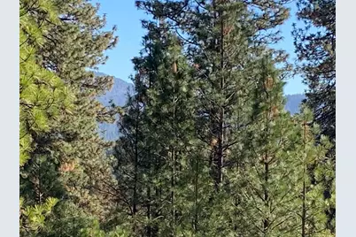 530 Lost Hill Court, Nevada City, CA 95959 - Photo 3