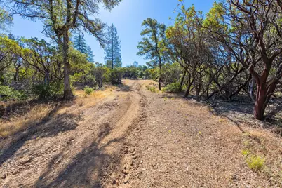 12996 Deadmans Flat Road, Grass Valley, CA 95949 - Photo 5