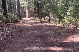 17360 Wyatt Earp Rd, Nevada City, CA 95959 - Photo 13