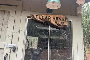 17360 Wyatt Earp Rd, Nevada City, CA 95959 - Photo 39