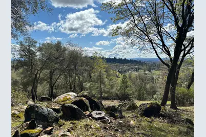 1235 Forest View Drive, Meadow Vista, CA 95722 - Photo 47