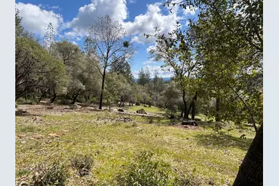 1235 Forest View Drive, Meadow Vista, CA 95722 - Photo 43