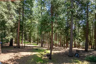 6480 Granite Trail, Pollock Pines, CA 95726 - Photo 21