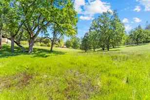 19461 Fiddletown Rd, Fiddletown, CA 95629 - Photo 53