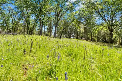 19461 Fiddletown Rd, Fiddletown, CA 95629 - Photo 49
