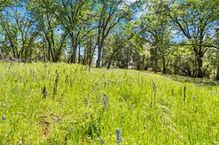 19461 Fiddletown Rd, Fiddletown, CA 95629 - Photo 49