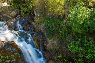 9290 Cramer Rd, Auburn, CA 95602 - Photo 63