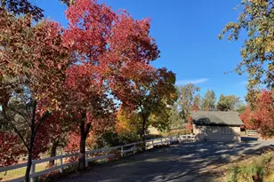 9290 Cramer Rd, Auburn, CA 95602 - Photo 55