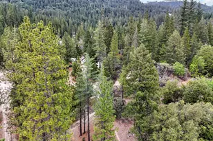 12957 Sailor Flat Rd, Nevada City, CA 95959 - Photo 5