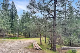 12957 Sailor Flat Rd, Nevada City, CA 95959 - Photo 33