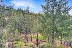 12957 Sailor Flat Rd, Nevada City, CA 95959 - Photo 23