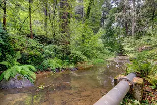 134 Boulder St, Nevada City, CA 95959 - Photo 3